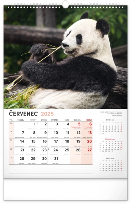 Notique calendario da parete animali affascinanti 2025