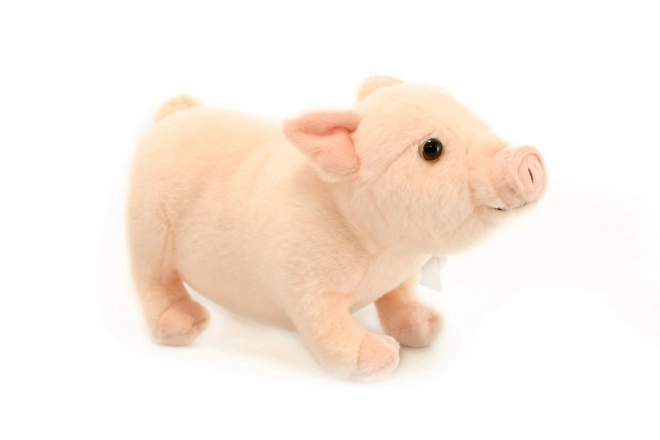 maialino di peluche eco-friendly 26 cm