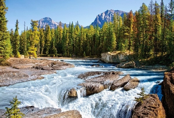 Puzzle Athabasca River Jasper National Park 1500 pezzi