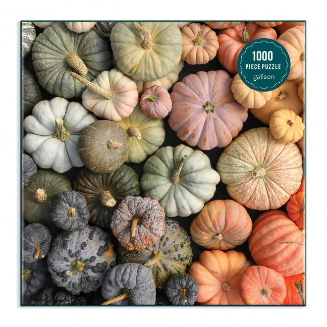 Puzzle decorativo zucche 1000 pezzi