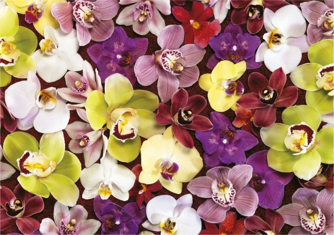 Puzzle collage di orchidee 1000 pezzi