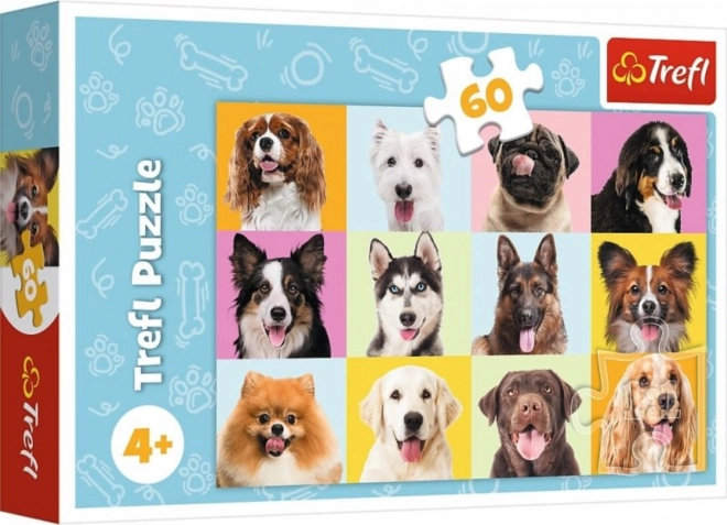 Puzzle Cuccioli Adorabili 60 pezzi