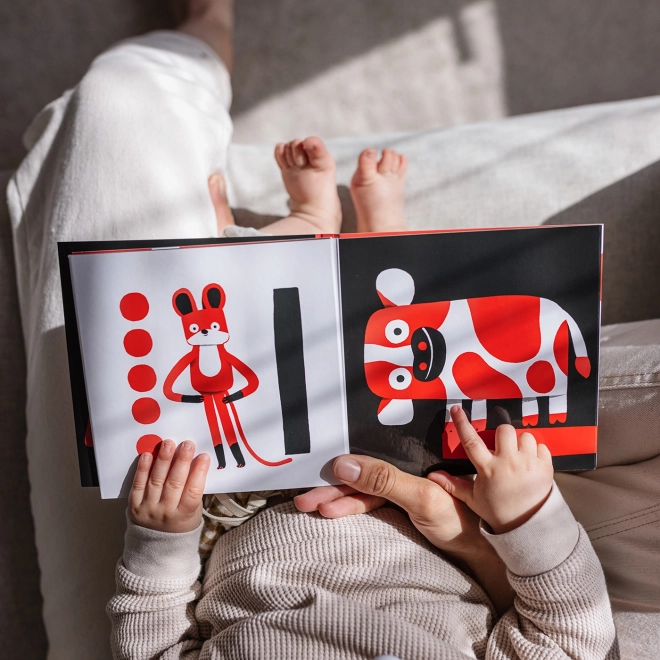 Ababu Leporello a contrasto per neonati con illustrazioni di Patrik Antczak
