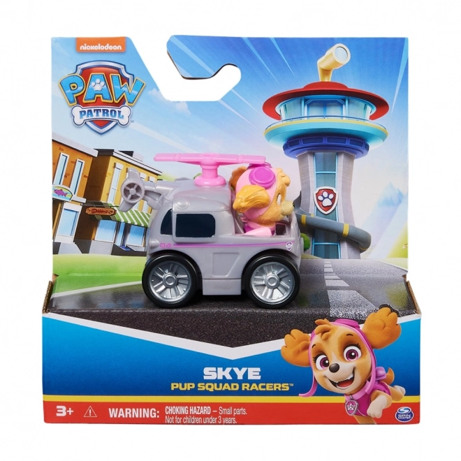 Mini veicoli Paw Patrol con personaggio