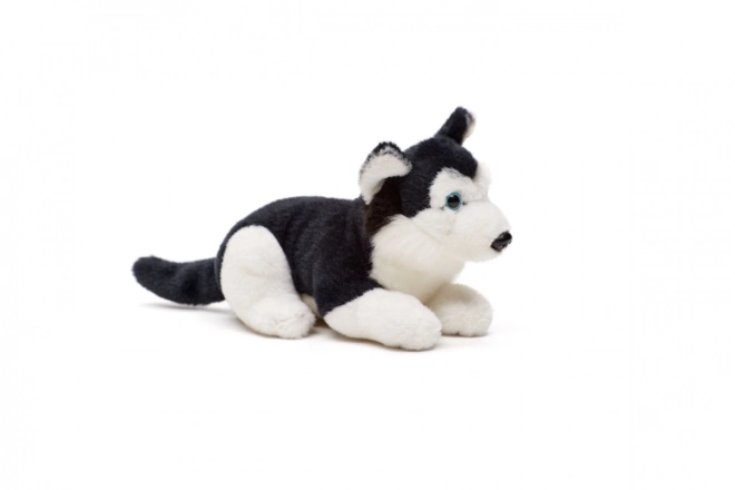 Husky di peluche 15 cm