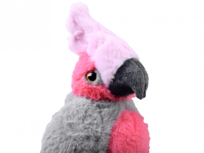 Peluche Pappagallo Rosa Cacatua