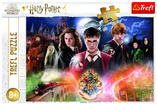 Puzzle 300 Pezzi Misterioso Harry Potter