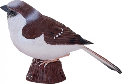 Mojo passero domestico – figurina realistica dipinta a mano