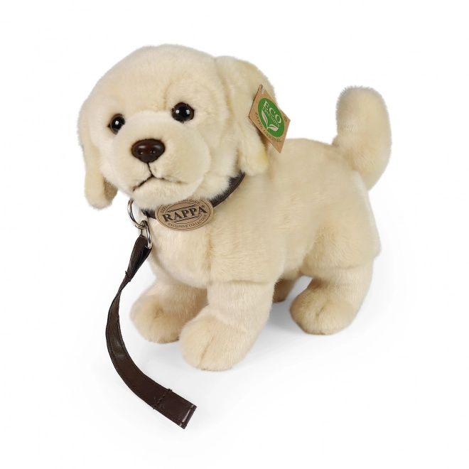 Peluche cane Golden Retriever con guinzaglio