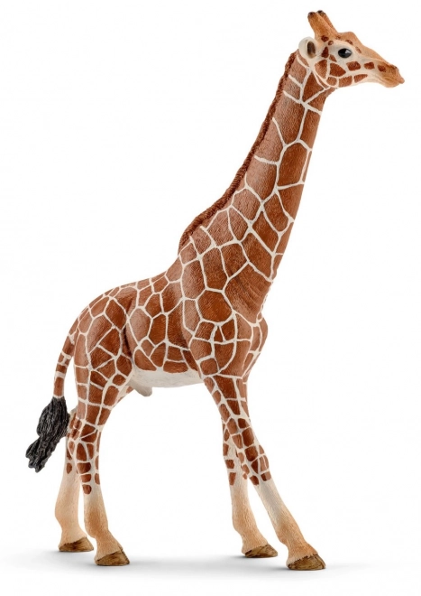 Figura Giraffa Maschio di SCHLEICH Wild Life