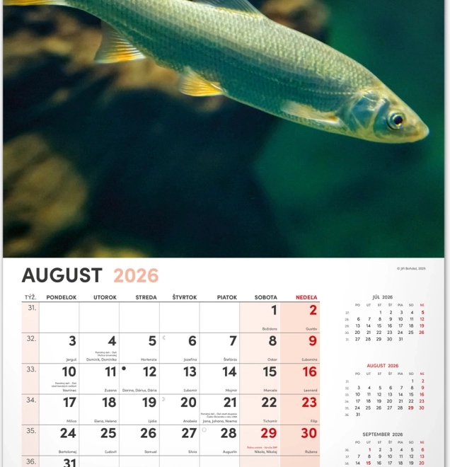 Calendario da parete di pesca 2026