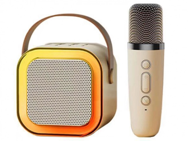 Set Karaoke con Microfono e Altoparlante