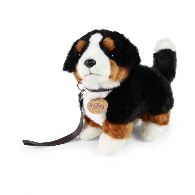 Cane di peluche Bernese da 22 cm Eco Friendly