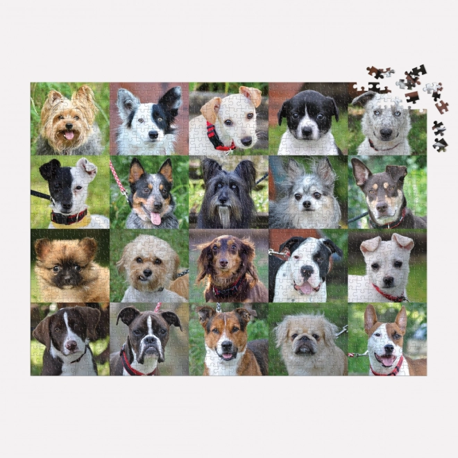 Puzzle Galison Cani dal Rifugio 1000 Pezzi