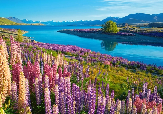 Puzzle Lago Tekapo, Nuova Zelanda 500 Pezzi