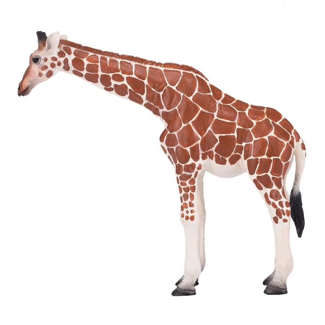 Mojo giraffa femmina