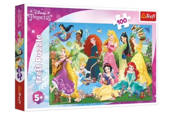 Puzzle 100 Pezzi Principesse Incantevoli