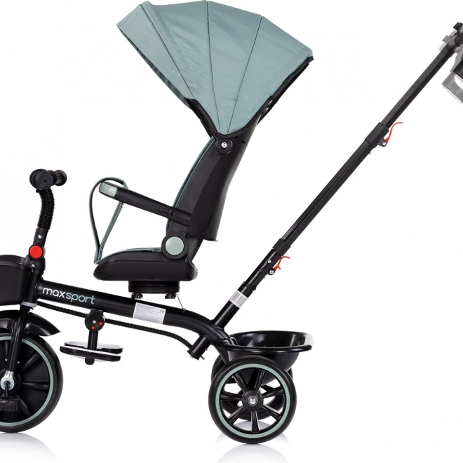 Triciclo con tettoia 2 in 1 Chipolino Max Sport Basil