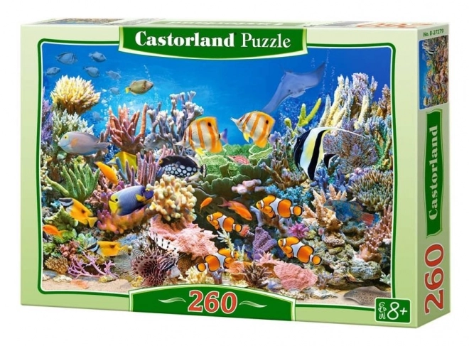 Puzzle colori dell'oceano 260 pezzi