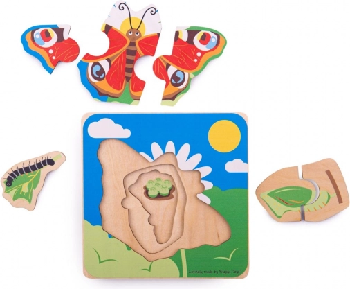 Apprendimento visivo del ciclo di vita