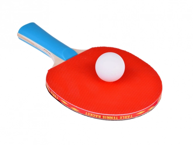 Set racchette da ping-pong di legno con 3 palline