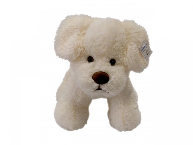 Cane di peluche crema 30 cm