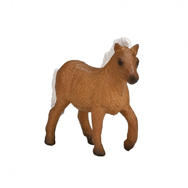 Pony Shetland Mucca di Mojo