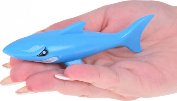 Set di 4 squali colorati per l'insegnamento delle immersioni per bambini