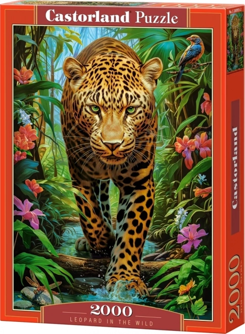 Puzzle Leopardo nella giungla 2000 pezzi