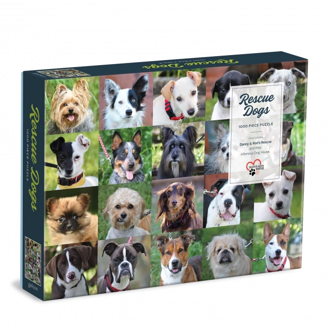 Puzzle Galison Cani dal Rifugio 1000 Pezzi