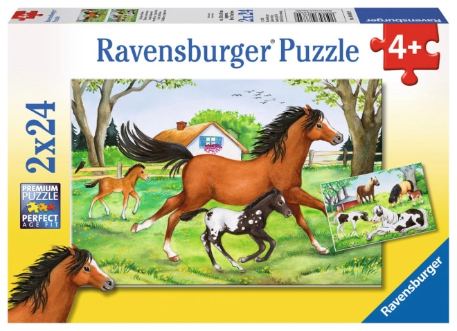 Due puzzle in uno: 2×24 pezzi