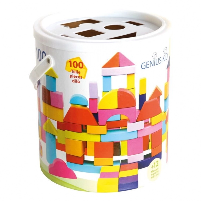 Bino Blocchi Colorati per Bambini - Set da 100 Pezzi