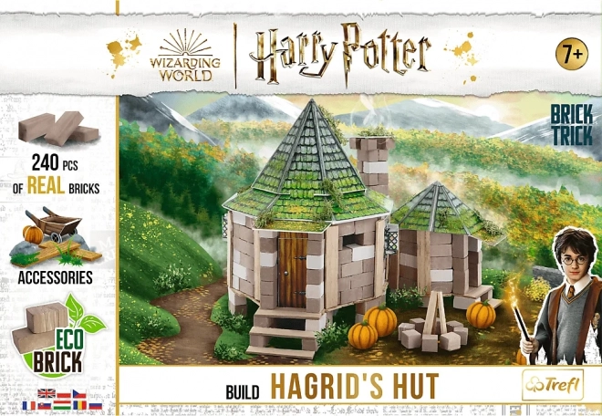 Harry Potter: La capanna di Hagrid - Set Costruzione 240 Pezzi