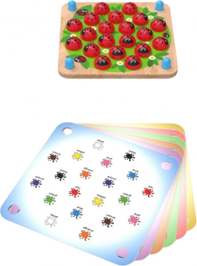 Struttura in legno resistente