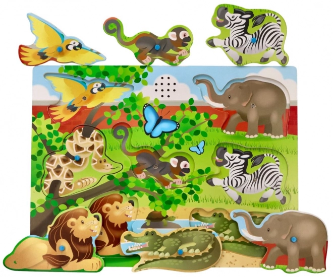 Puzzle sonori animali dello zoo