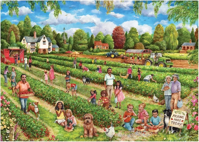 Puzzle Raccolta di Fragole 1000 pezzi