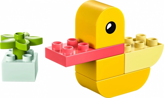 DUPLO Il mio primo anatroccolo 4 in 1