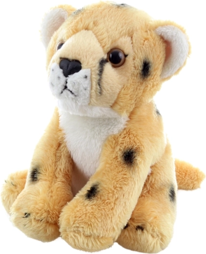 Dettagli realistici per stimolare la fantasia