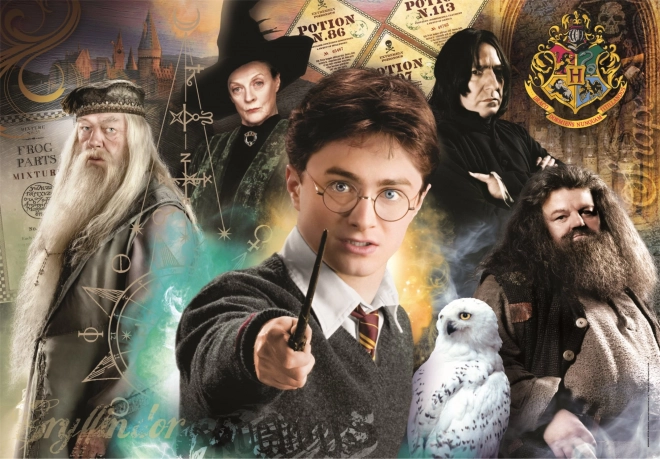 Puzzle Harry Potter 500 Pezzi