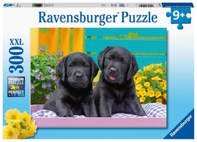 Puzzle Labrador Neri XXL 300 Pezzi