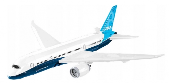 Boeing 787-8 Dreamliner modello da costruire