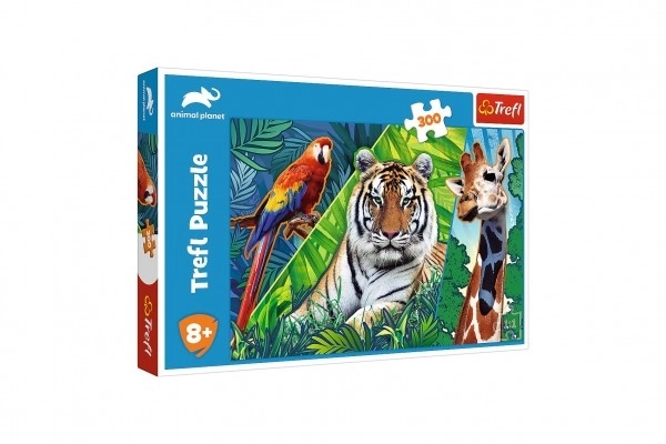 Puzzle Animali Asombrosi 300 pezzi