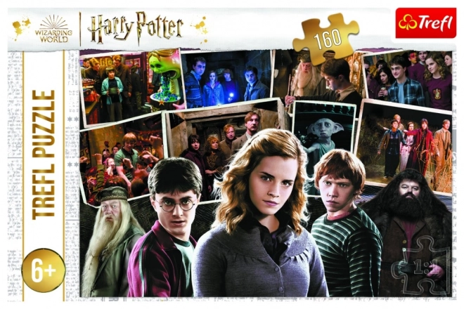 Puzzle Harry Potter e amici 160 pezzi