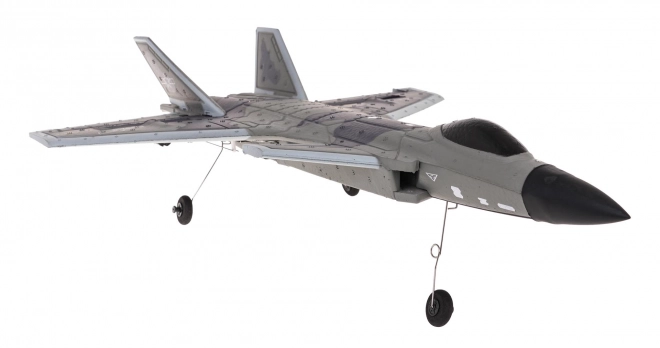 Jet da combattimento RAPTOR-J20 R/C