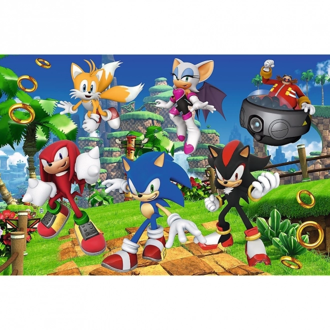 Puzzle 160 pezzi Sonic e amici