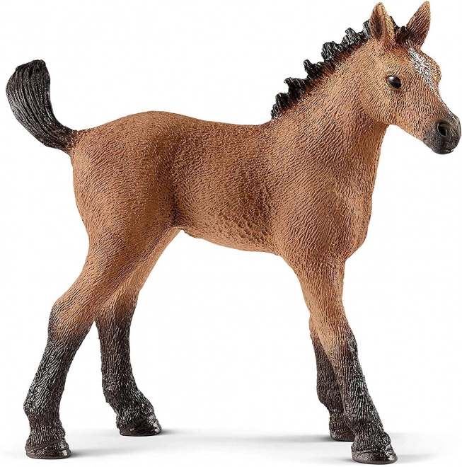 Schleich puledro Quarter Horse Club