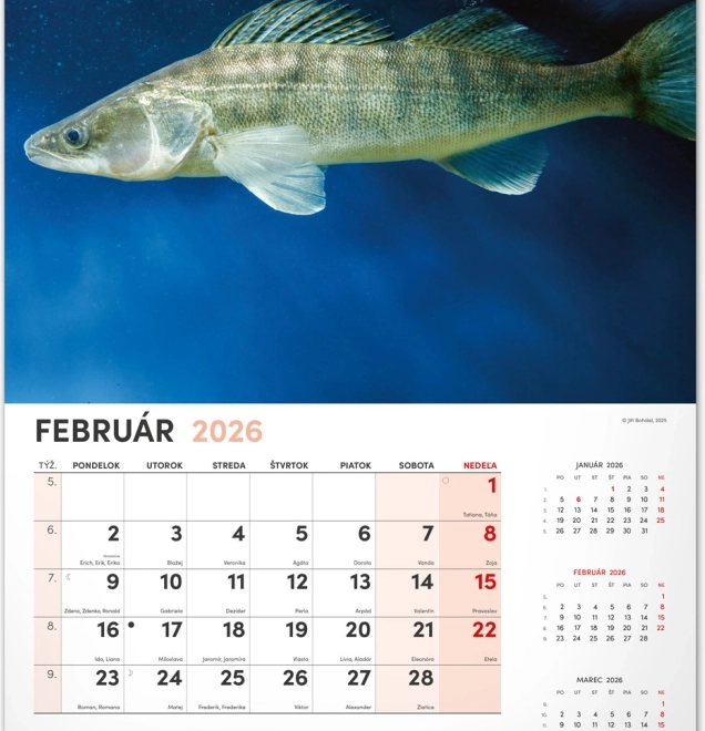 Calendario da parete di pesca 2026