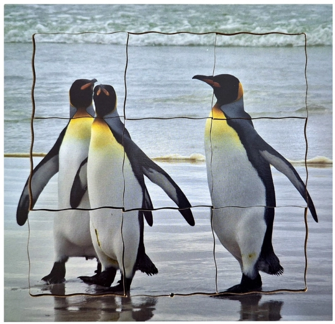 Puzzle in legno a strati del ciclo di vita del pinguino