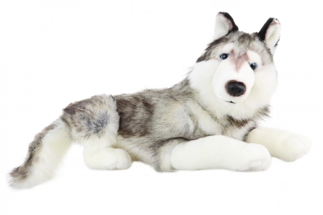 Peluches husky gigante