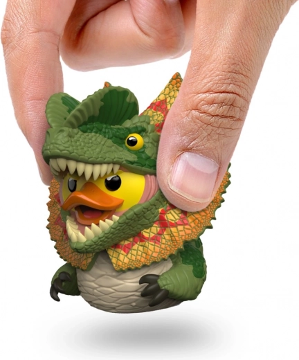 Ideale per collezionisti e per la scrivania